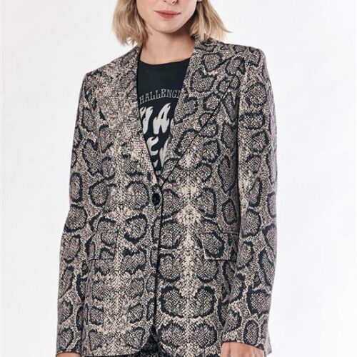 Blazer Snake
