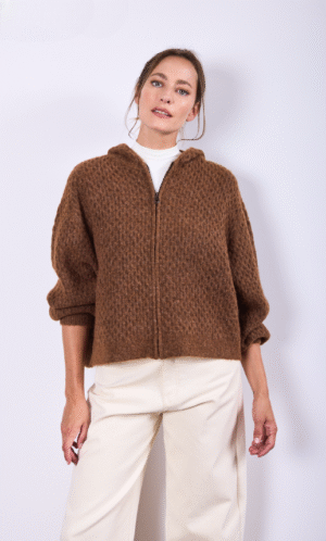 Campera Hoodie Fragovard