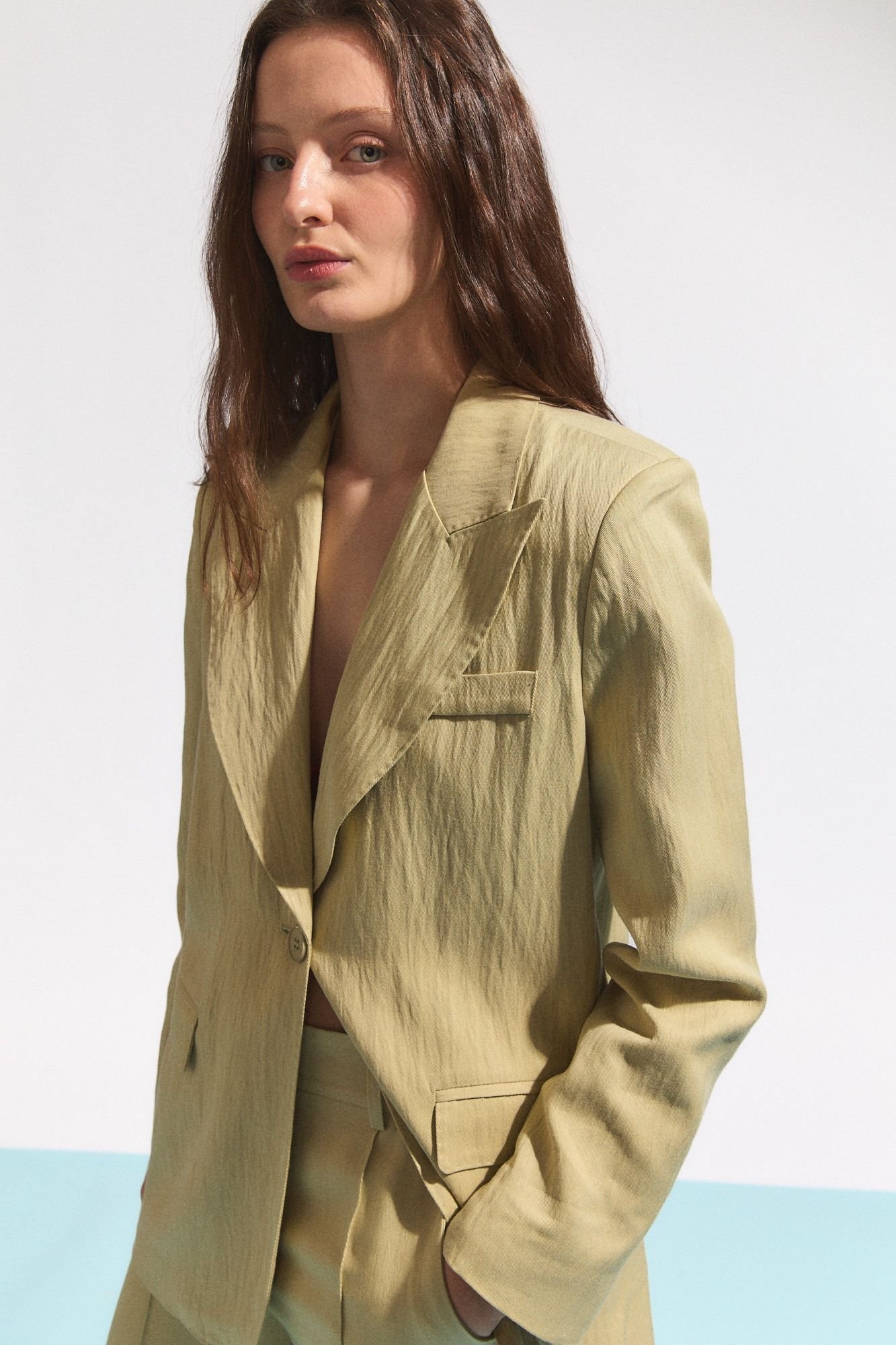 zamia3 zamia3